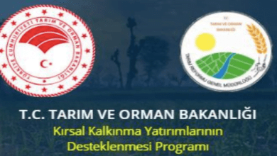 Çatı Ges Hibe Destek