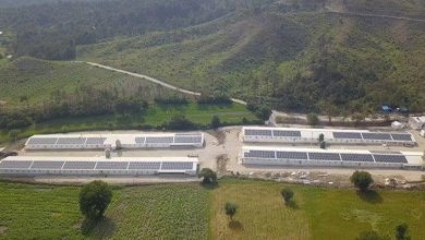 Güneş enerjisi desteği