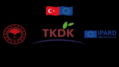 Güneş Enerjisi Yatırımları Hibe Destekleri