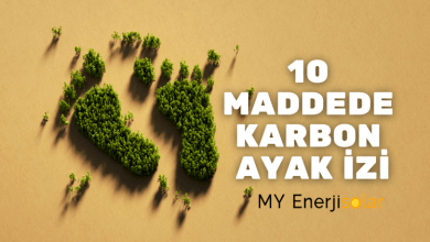 karbon ayak izi nedir, nasıl azaltılır