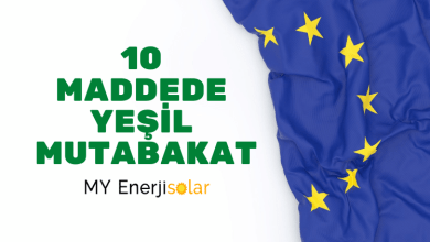 10 Maddede Yeşil Mutabakat