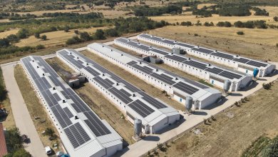 Kırklareli Yündolan GES Projesi: Pak Tavuk Güneş Enerjisi 576 kWp (Çatı GES)